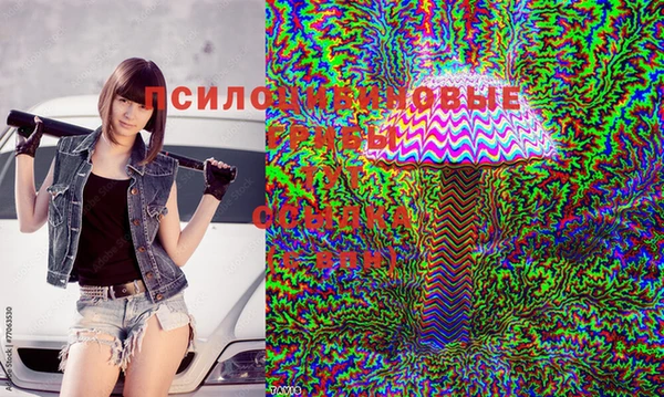 герыч Абаза