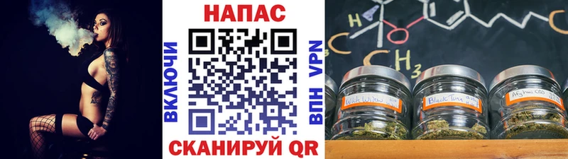 Каннабис план  Шенкурск 